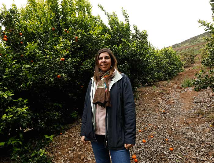 La profesora Johanna Martiz, en un campo donde se ven los árboles con mandarinas.