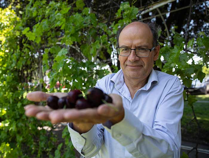 El profesor Juan Pablo Zoffoli sostiene unas cerezas con sus dos manos.