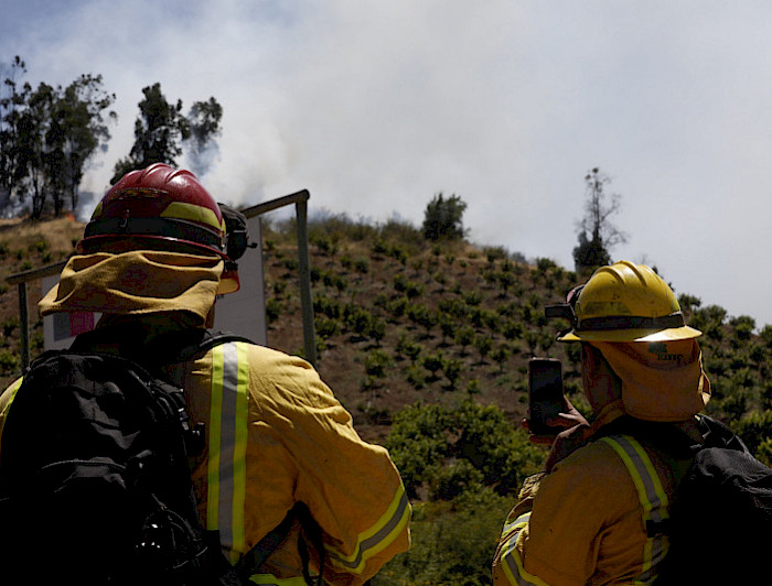 imagen correspondiente a la noticia: "La UC da cuenta de su pesar por los incendios que afectan al país y hace un llamado a colaborar"