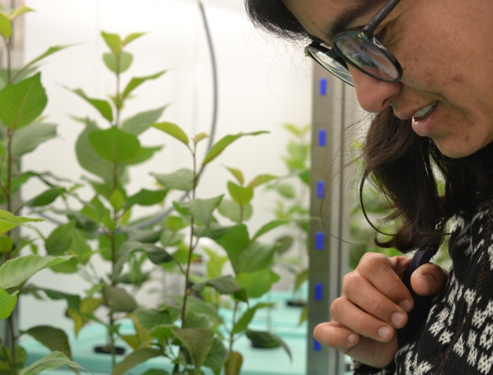 Una mujer observa las plantas que crecen en la Unidad de Experimentación Vegetal de la Facultad de Ciencias Biológicas UC.