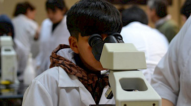 Estudiantes en laboratorios de docencia de la FCB. Foto FCB