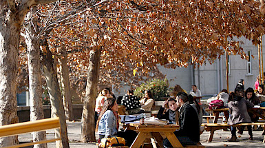 Estudiantes sentados en bancas en el patio, conversando con cuadernos sobre la mesa, bajo árboles otoñales.