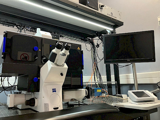 Microscopio de última generación, UMA.- Foto FCB