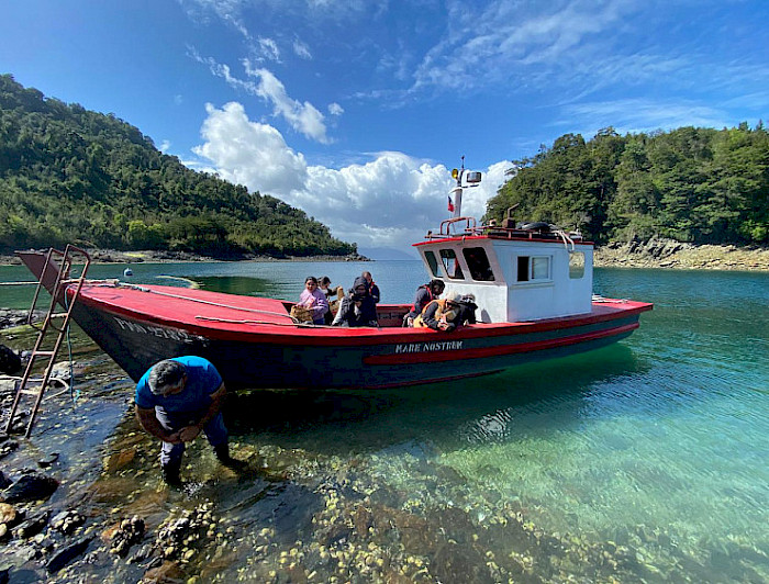 imagen correspondiente a la noticia: "UC logra mayor adjudicación de núcleos Milenio de ciencias sociales a nivel nacional"