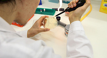 Trabajo en laboratorio.- Foto Dirección de Comunicaciones