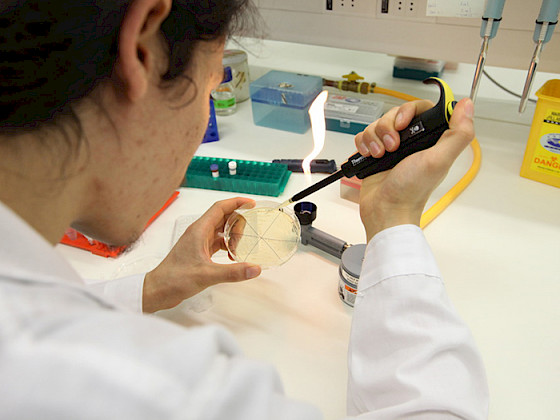 Trabajo en laboratorio.- Foto Dirección de Comunicaciones