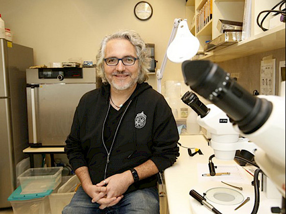 Profesor Facultad de Ciencias Biológicas Luis Larrondo.- Foto César Dellepiane