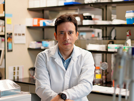 Dr. Bruno Cisterna, Foto Nikon Small World