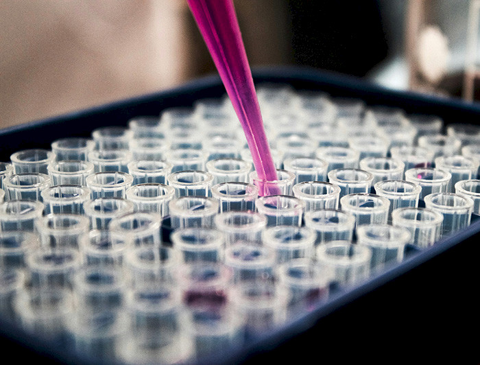 Detalle de pipeta dispensando líquido en tubos para análisis científico.