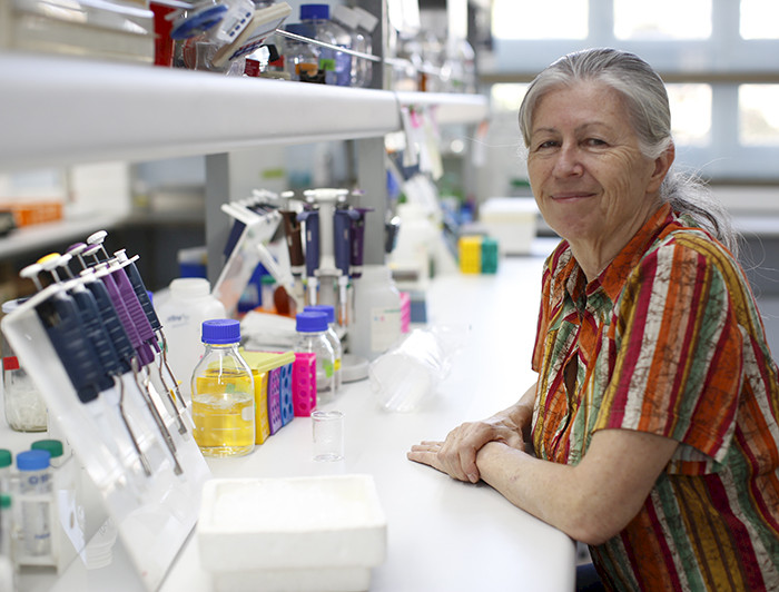 La profesora Katia Gysling en su laboratorio.- Foto Dirección de Comunicaciones