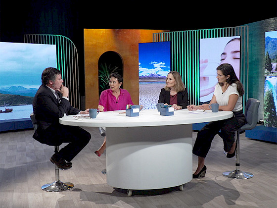 Panel programa Hélice