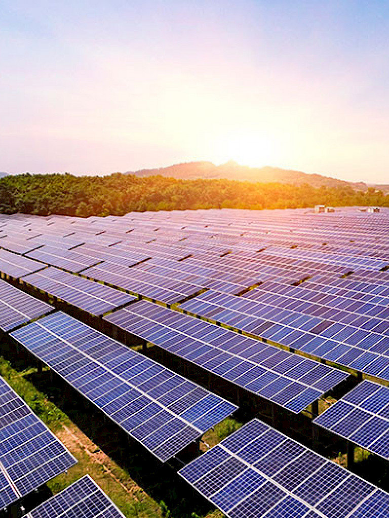 Solar panels at a renewable energy farm symbolizing UC Chile’s commitment to sourcing nearly 98% of its energy from sustainable sources.