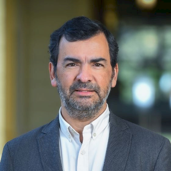 imagen de Rodrigo Mardones