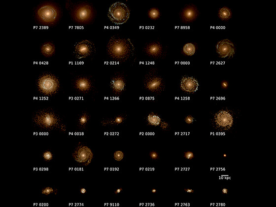 Galaxias seleccionadas por el proyecto CIELO