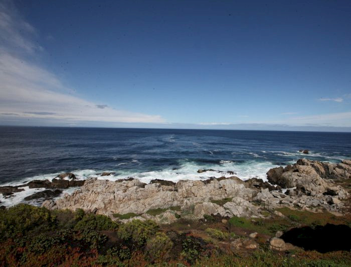 imagen correspondiente a la noticia: "El silencioso impacto de los tsunamis en los ecosistemas marinos"