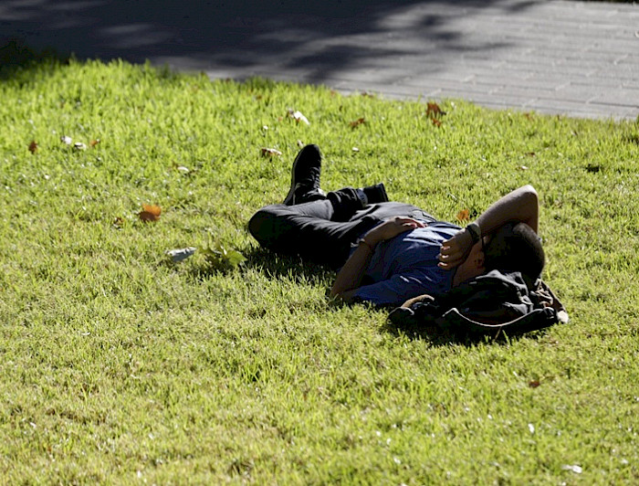 imagen correspondiente a la noticia: "Ninis: ¿Una generación en pausa?"