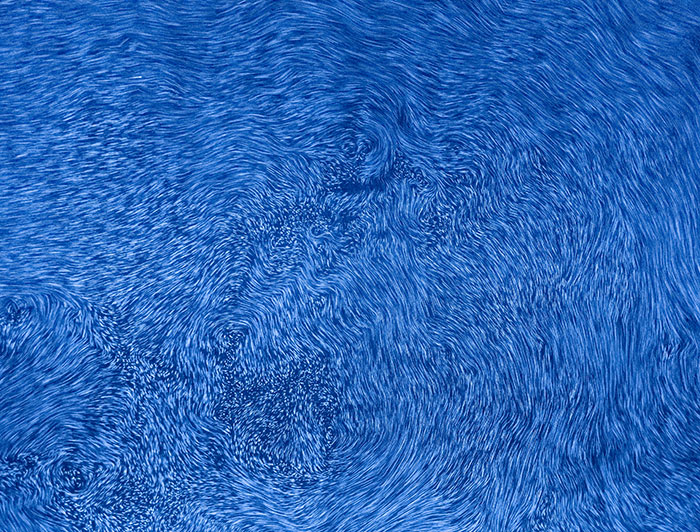 Imagen que permite ver la estructura de la niebla