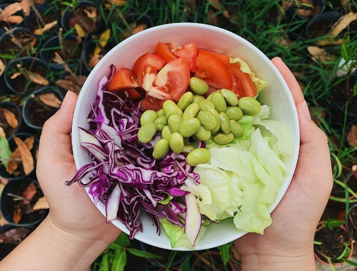 imagen correspondiente a la noticia: "Identifican el rol clave que cumpliría la microbiota intestinal en la salud del corazón"