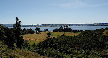 Campo en Chiloé