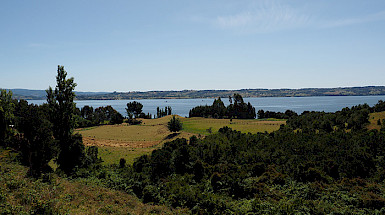 Campo en Chiloé