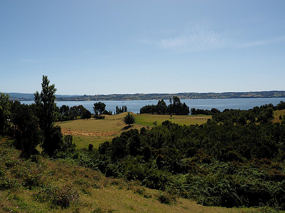 Campo en Chiloé