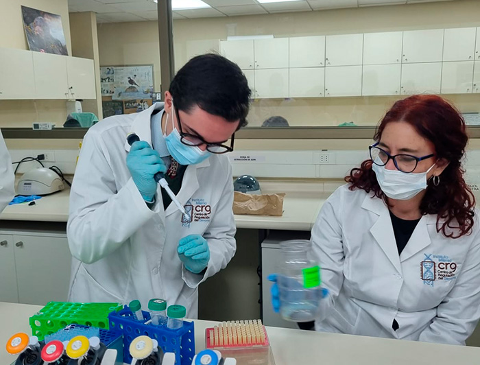 Investigadores trabajan en laboratorio.