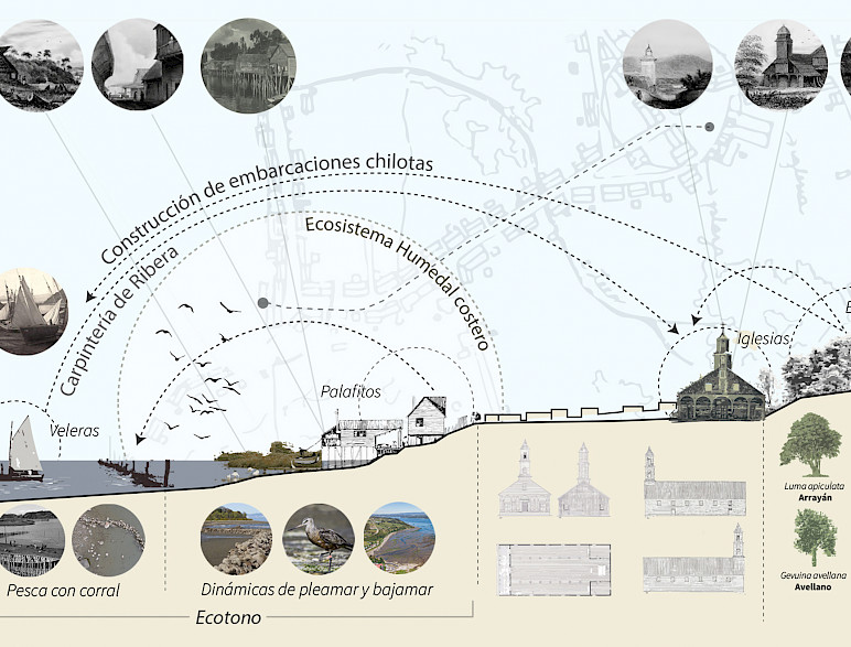 Ecoportrait isla de Quinchao