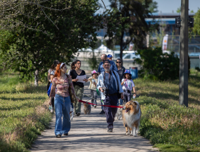 imagen correspondiente a la noticia: "Bendición de mascotas: una tradición que llega al mundo digital"