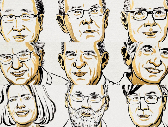 imagen correspondiente a la noticia: "“Inspirador”, “revolucionario”, “prometedor”: Análisis a los Nobel de Medicina, Física y Química"