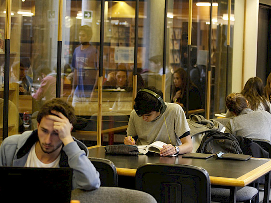 Alumnos en sal de estudios.- Créditos Dirección de Publicaciones y Medios