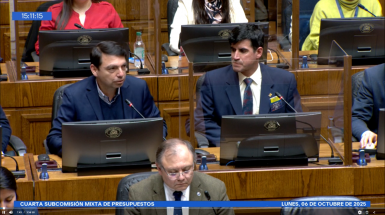 Exposición Presupuesto 2026 en el Senado. Créditos: Comunicaciones Red G9