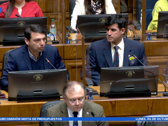 Exposición Presupuesto 2026 en el Senado. Créditos: Comunicaciones Red G9