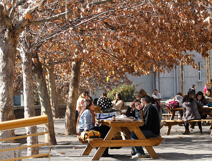 Estudiantes sentados en una banca en el patio de la Facultad de Eduación.