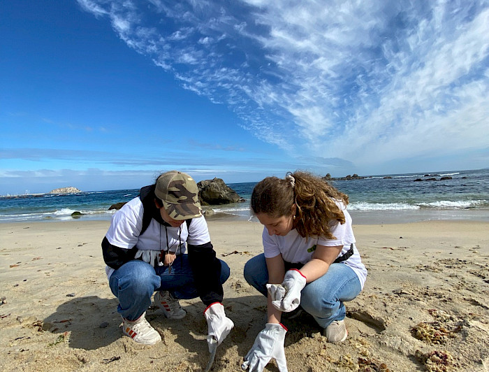 imagen correspondiente a la noticia: "Tiempo de la Creación: reflexiones sobre ecología desde la espiritualidad cristiana"
