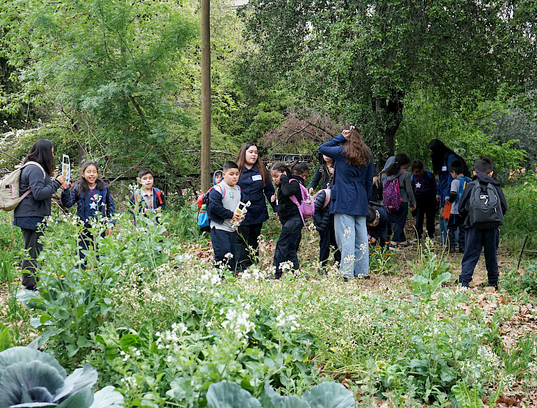 Niños en la naturaleza con monitoras