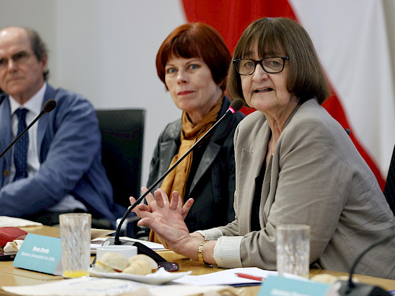Ignacio Irarrázaval, Marianne Krause y Rosa Devés