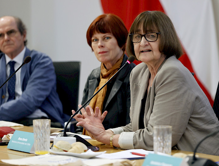 Ignacio Irarrázaval, Marianne Krause y Rosa Devés