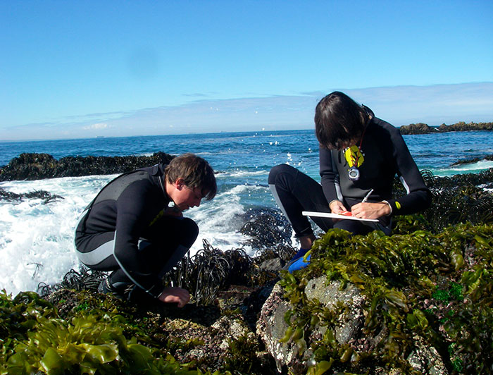 Jóvenes buzos haciendo anotaciones en un roquerío junto al mar.