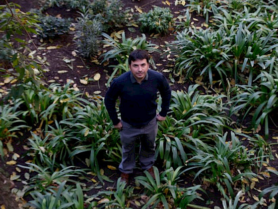 Patricio Pliscoff, académico de Ciencias Biológicas UC