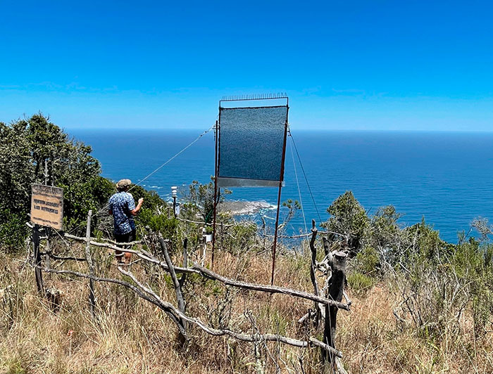 Instrumento de medición de niebla en El Boldo, en Zapallar.