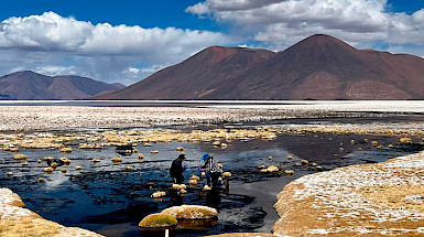 Salar La Isla