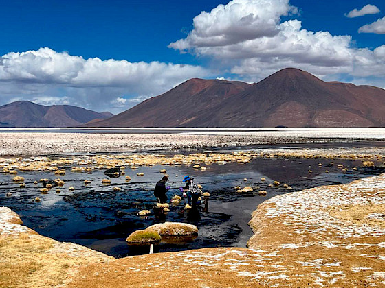 Salar La Isla