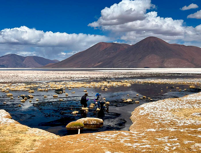 Salar La Isla