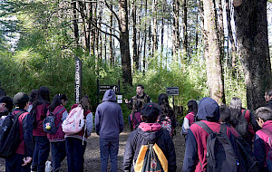 Escolares visitan el Laboratorio Vivo.