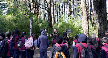 Escolares visitan el Laboratorio Vivo.