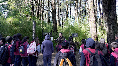 Escolares visitan el Laboratorio Vivo.