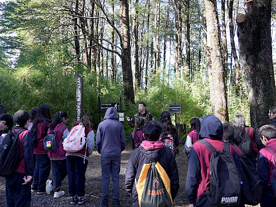 Escolares visitan el Laboratorio Vivo.