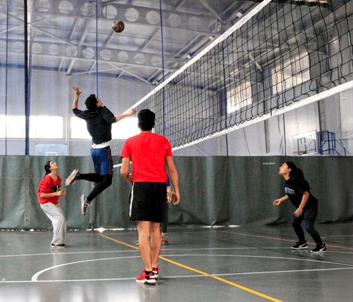 Personas jugando vóleibol