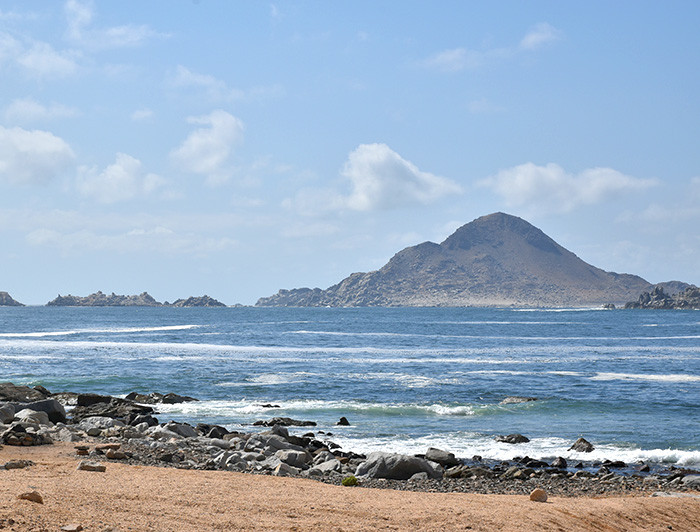 Parque Nacional Pan de Azúcar