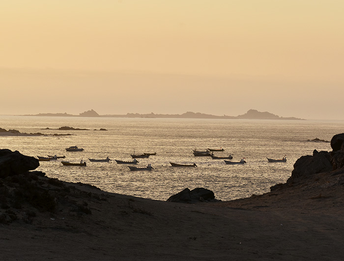 Botes de pescadores al atardecer en Punta de Choros.